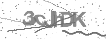visual captcha